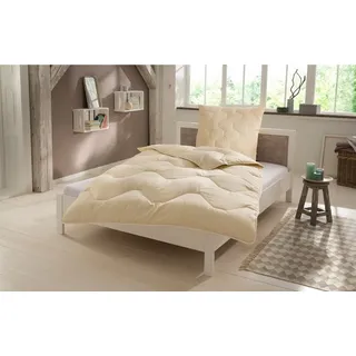 Älgdröm Naturfaserbettdecke »Baumwolle 60 °C, Bettdecke 135x200 cm, 155x220 cm, 200x200 cm« normal Füllung 100% Baumwolle 1 Stk. tlg. Bettdecken, Sommer, Winter, 4 Jahreszeiten, Decke, Made in Germany, beige