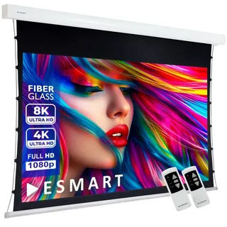 eSmart Expert XTS Tension Leinwand Grau 244 x 137 cm (110") 16:9