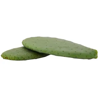 proinsects 2kg Opuntien (Opuntia) | Kaktusblätter | Futterpflanze | Schildkrötenfutter