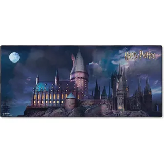 Pyramid Harry Potter Hogwarts mehrfarbig