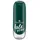 Nagellack Nr. 60 kale yeah! Farblack 8 ml