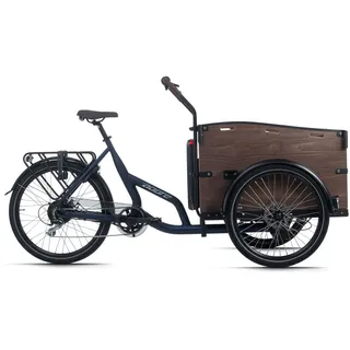 ADORE E-Bike Urban Deluxe«, blau