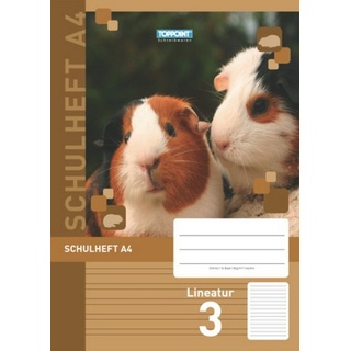 Stylex Schulheft Lineatur 3