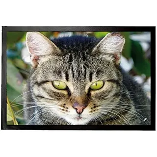 1art1 Katzen Getigerte Katze, Nahaufnahme Fußmatte Dekomatte Innenbereich | Design Türmatte 60x40 cm
