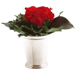 ROSEMARIE SCHULZ Heidelberg Infinity Blume in silberfarbenen Becher 1 ewige Rose konserviert Blumenstrauß langhaltend (Rot, 1 Rose)