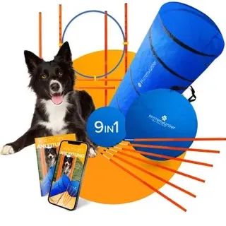 pfotenwunder® "9-in-1 Agility Set Hunde groß - 21 Min. HUNDESCHULE - 6 Slalomstangen, 1 Tunnel, für kleine - große Hunde, Training Sport Spielzeug Cavaletti Parcour Steckhürdenset Zubehör Hürden