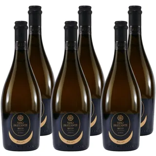 Saluti Vino Frizzante Bianco Secco (6 x 0,75L)