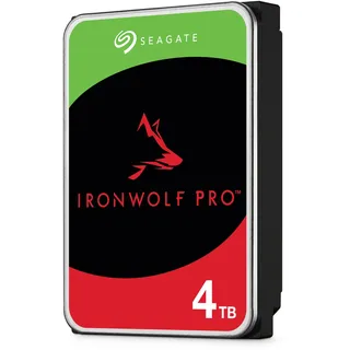 4 TB 3,5" ST4000NT001