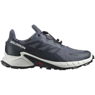 Goretex Trailrunningschuhe - Grisaille / White / Carbon - EU 48