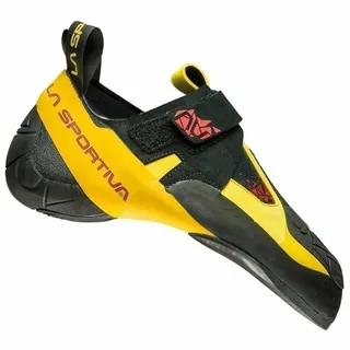 back/yellow 44