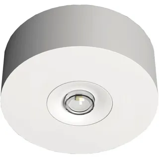 RP Technik LED-Sicherheitsleuchte EARL428WL