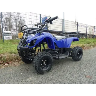Elektro Quad Miniquad Kinder Atv Cobra 500 Watt 24V Pocketquad Kinderquad