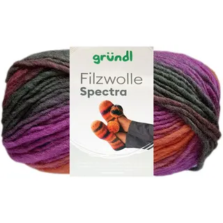 besuche den gründl-store Filzwolle Spectra Mehrfarbig 100 g