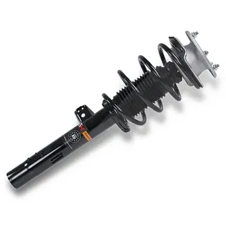 gh Federbein Komplett Federbein