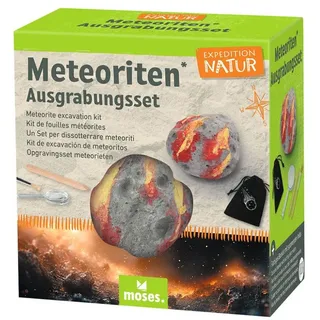 Moses. Verlag Dekosteine, Mondsteine zum Ausgraben, Gipsblock inkl. Werkzeug für Kinder