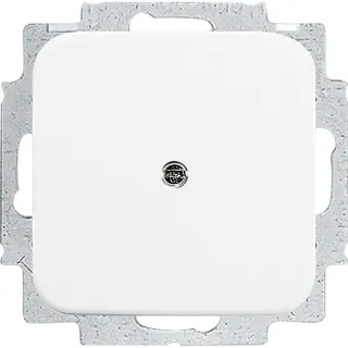 Busch-Jaeger Blindzentralscheibe aws mit Tragring 2538-214