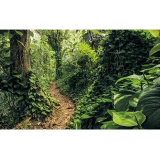 KOMAR Fototapete Vlies Path of Dreams 400 x 250 cm