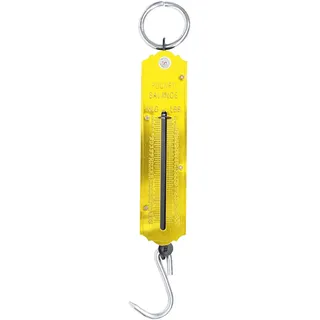 BGS Do it yourself Taschenfederwaage bis 50 kg