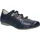 blau 37