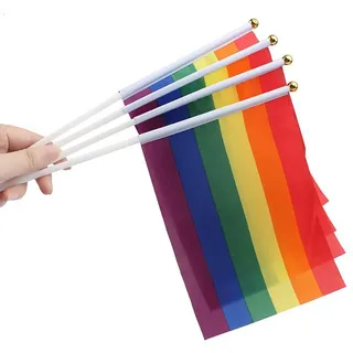Tourima Pride Flag Regenbogen Flagge, 10 Stück Pride Accessoires Fahnen, Regenbogen Deko Frieden Fahne, HandHeld Mini Schwul Flag, Lesbian Gay Bi Transgender, Tägliche Pride Month Parade Party Deko