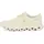 Damen Seedling / Ice 40,5