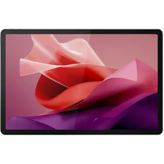 12.7'' 256 GB Wi-Fi Storm Grey + Pen ZACH0199ES
