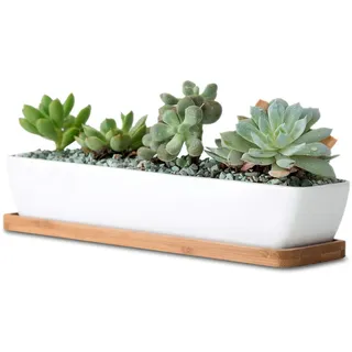 WISH HALLY WOOD Mini-Blumentöpfe für Sukkulenten, rechteckig, 27,9 cm lang, rechteckig, Keramik, mit Bambus-Untersetzern, Produktgröße: 27,9 x 6 x 4,5 cm, Pflanze Nicht im Lieferumfang enthalten.
