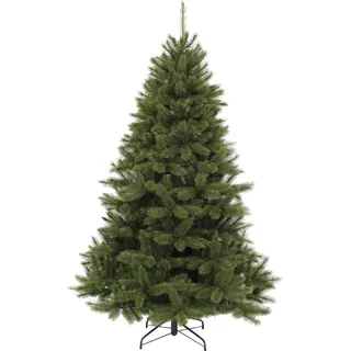 triumph tree Bristlecone Höhe: 185 cm