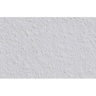 Erfurt Vlies-Rauhfaser 52 PRO Rolle 0,53cm x 25m