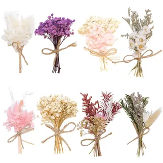 SURALIN 8er-Pack kleiner Trockenblumenstrauß, kleine Größe,Trockenblumenstrauß Klein, Mini Trockenblumen, geeignet für Geburtstagsfeier, Hochzeit