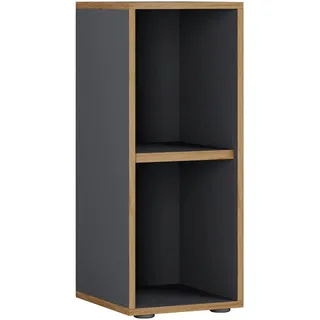 P & B Salia Aktenregal 30,0 x 32,0 x 74,0 cm anthrazit, honig-eiche
