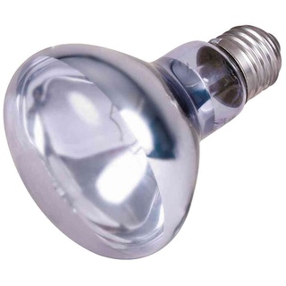 Trixie Neodymium Wärme-Spotlampe, ø 80 × 108 mm, 100 W