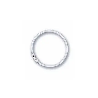 Osram T5 FC 40W/840 Circline / Ring LUMILUX Cool White 2GX13