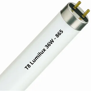 Osram Lumilux T8 L 36W/865 G13