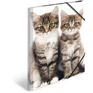 Katzen A3 3 Stück, (7143)