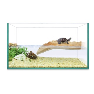 ICA Turtle Island 30 Reptiselva 2700g