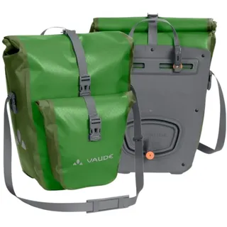 parrot green