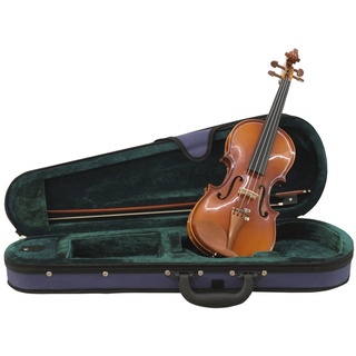 Dimavery Violine mit Bogen, im Case