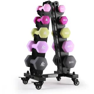 LIONSCOOL Premium Neopren Hantel-Set (Standardfarben, 30 kg, 10 Stück mit A-Rahmen-Gestell)