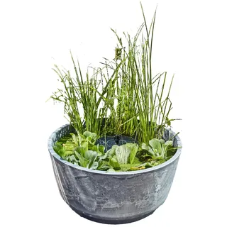 HEISSNER Wasserspiel Aquatopia