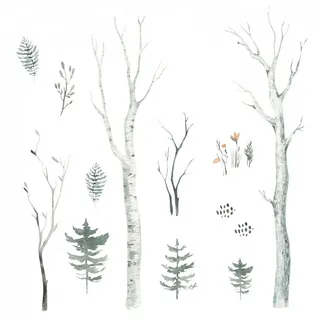 204 Wandtattoo Wald Aquarell - Birkenstämme Tannen Zweige Größe 1500 x 840 mm - in 6 Größen - Kinderzimmer Sticker Wandaufkleber Wandsticker Wanddeko Wandbild