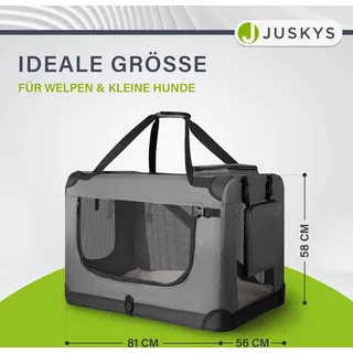 Juskys Hundetransportbox XL faltbar 56 x 81 x 58 cm Grau