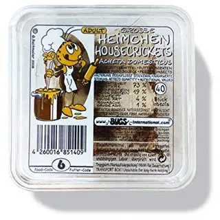 Heimchen Gross in der Dose Verpackt - Portion ca. 35-40 Stück - Reptilienfutter