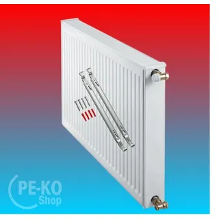 Buderus Kompakt Flachheizkörper 600 x 1000 mm Typ 22 weiß Seitenventil