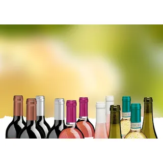 Preiswerte Alltagsweine Überraschungspaket zum Schnäppchenpreis (12 Flaschen), Bio Probierpakete