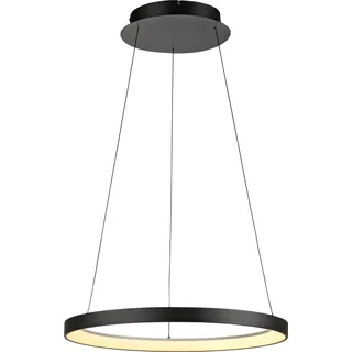 Paul Neuhaus Hoop 1-flg. 57 cm schwarz Aluminium, Eisen