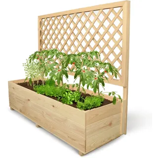 DELUKE Pflanzkasten mit Rankgitter THIO Inkl. Vlies & Handschuhe, Hochbeet mit Rankhilfe Blumenkasten für Kletterpflanzen hängende Körbe, 128cm Breit