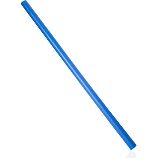 Funnoodle Schwimmnudel Poolnudel 160cm, Blau