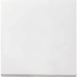 Gira 029627 Wippe AUS/WECHSEL REINWEISS