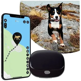 Paj GPS PET Finder 4G 2.0 Black GSM-Tracker 1St.